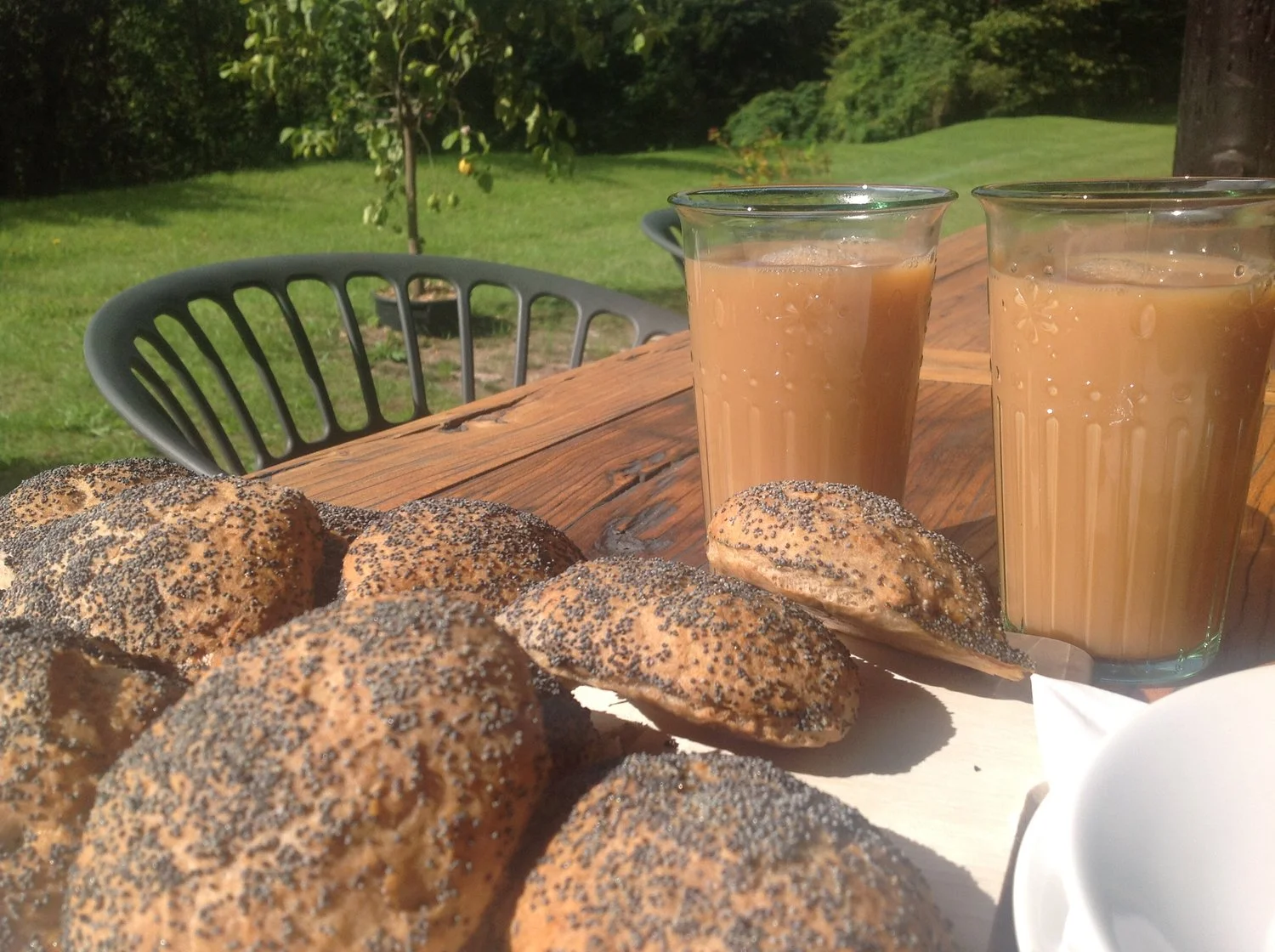 Seriously My Best Glutenfree Buns So Far