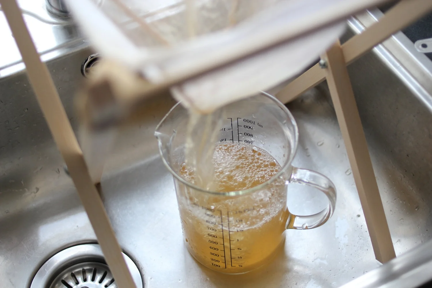 Kombucha - "The Tea of Immortality"