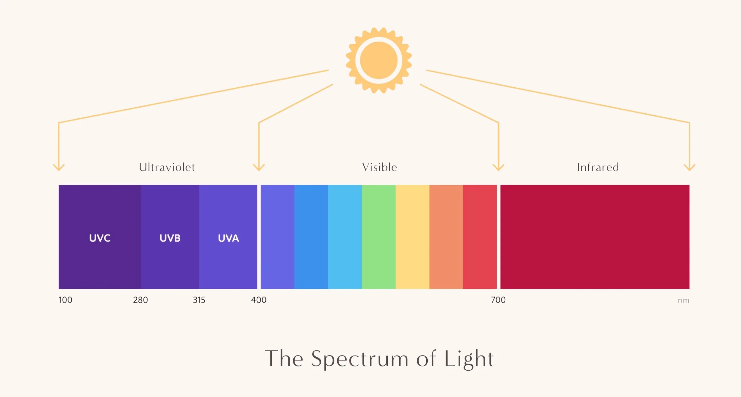 7 HealthBoosting Benefits of Morning Sunlight I 5 Tips to Get it into