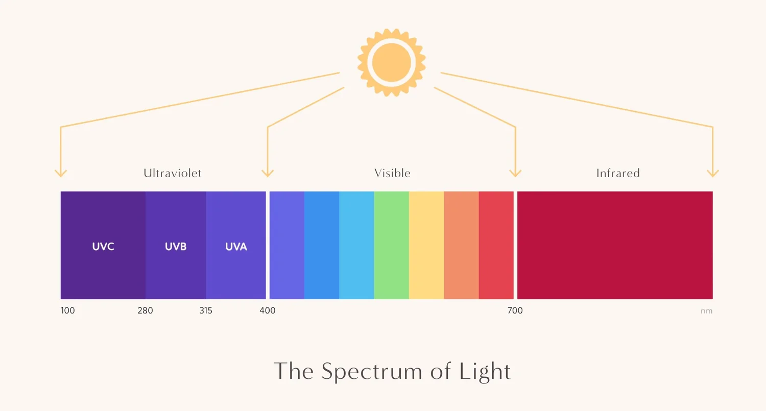 7 HealthBoosting Benefits of Morning Sunlight I 5 Tips to Get it into