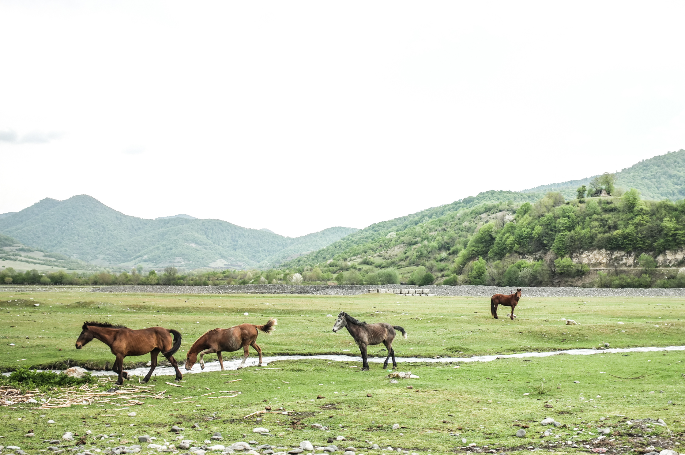 Caucasus Tours