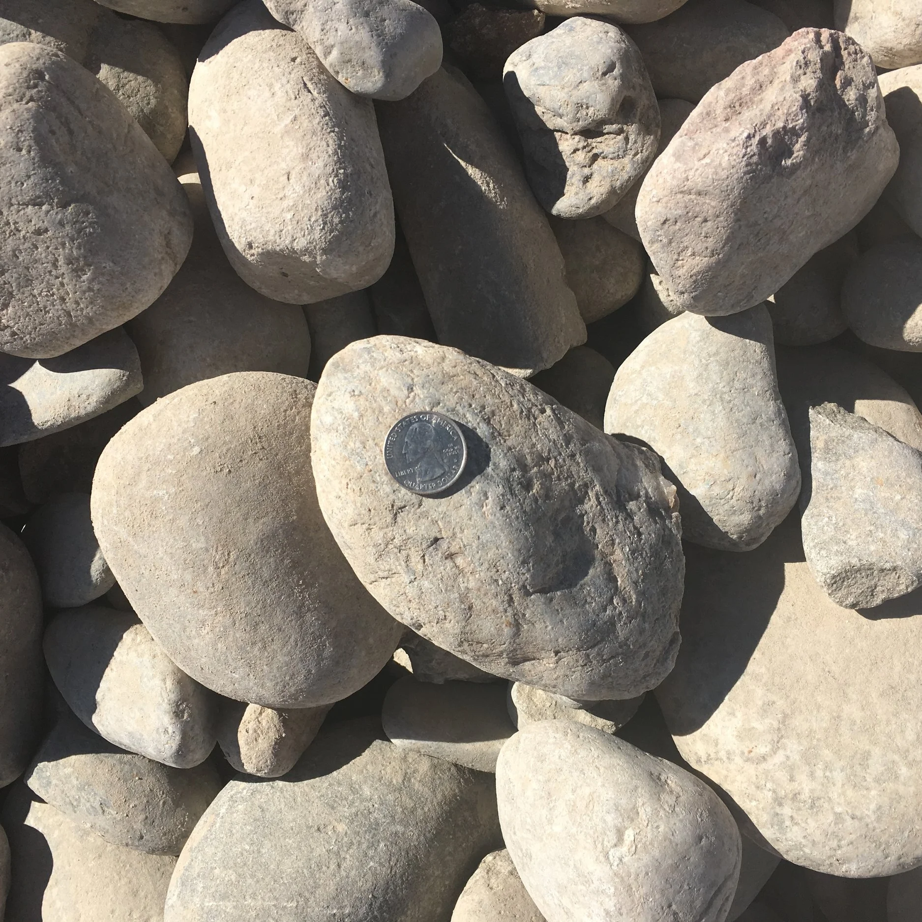 2-4" Round Small to medium sized cobble rock used for erosion protection, sewer leach fields and landscaping