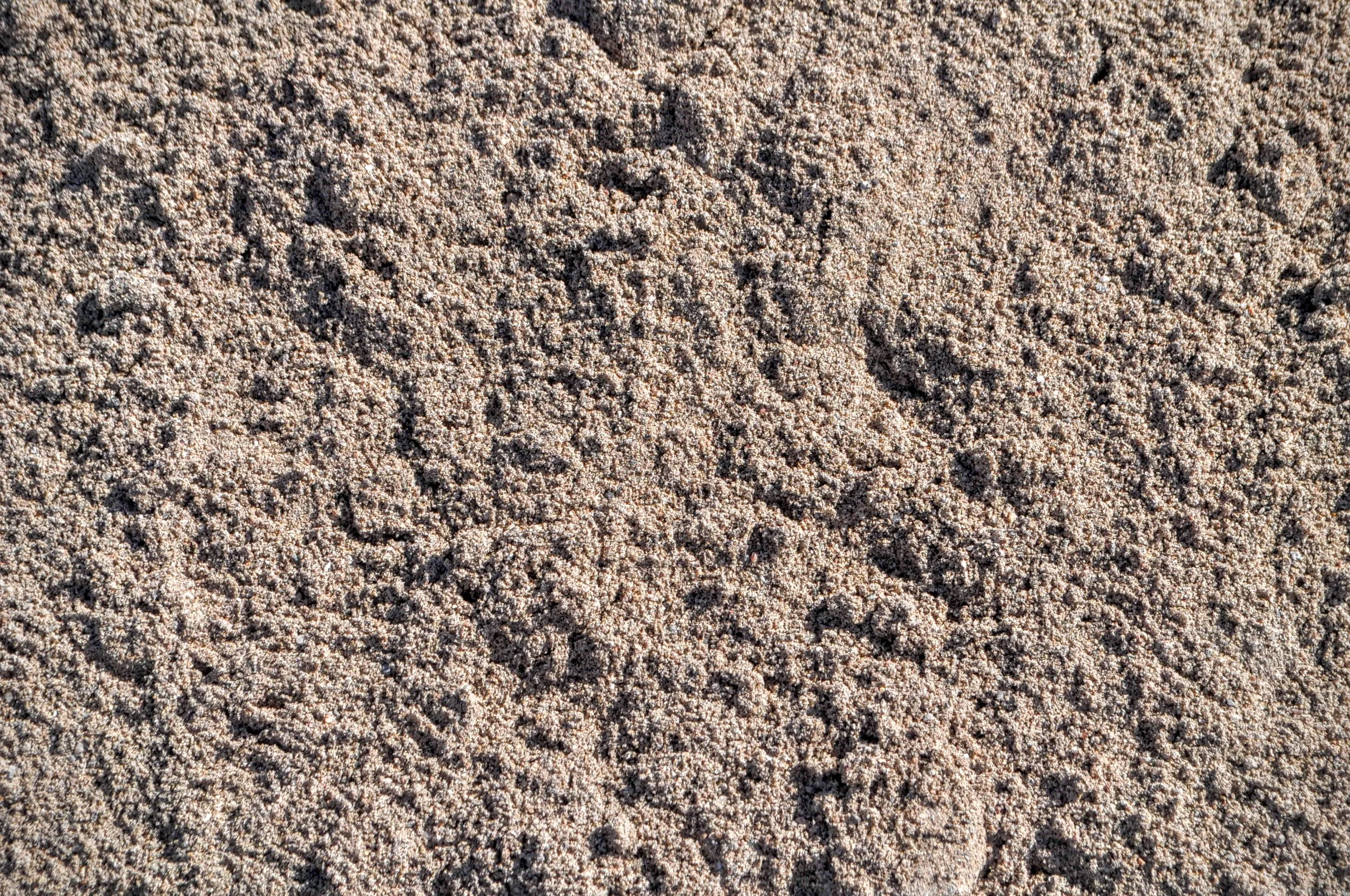 Plaster Sand.jpg