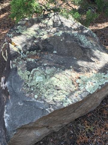 Moss Rock