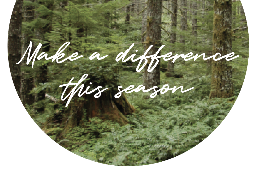 Screen Shot 2020-11-20 at 1.22.53 PM.png