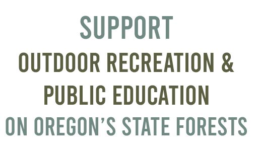 Screen Shot 2020-11-20 at 1.20.28 PM.png