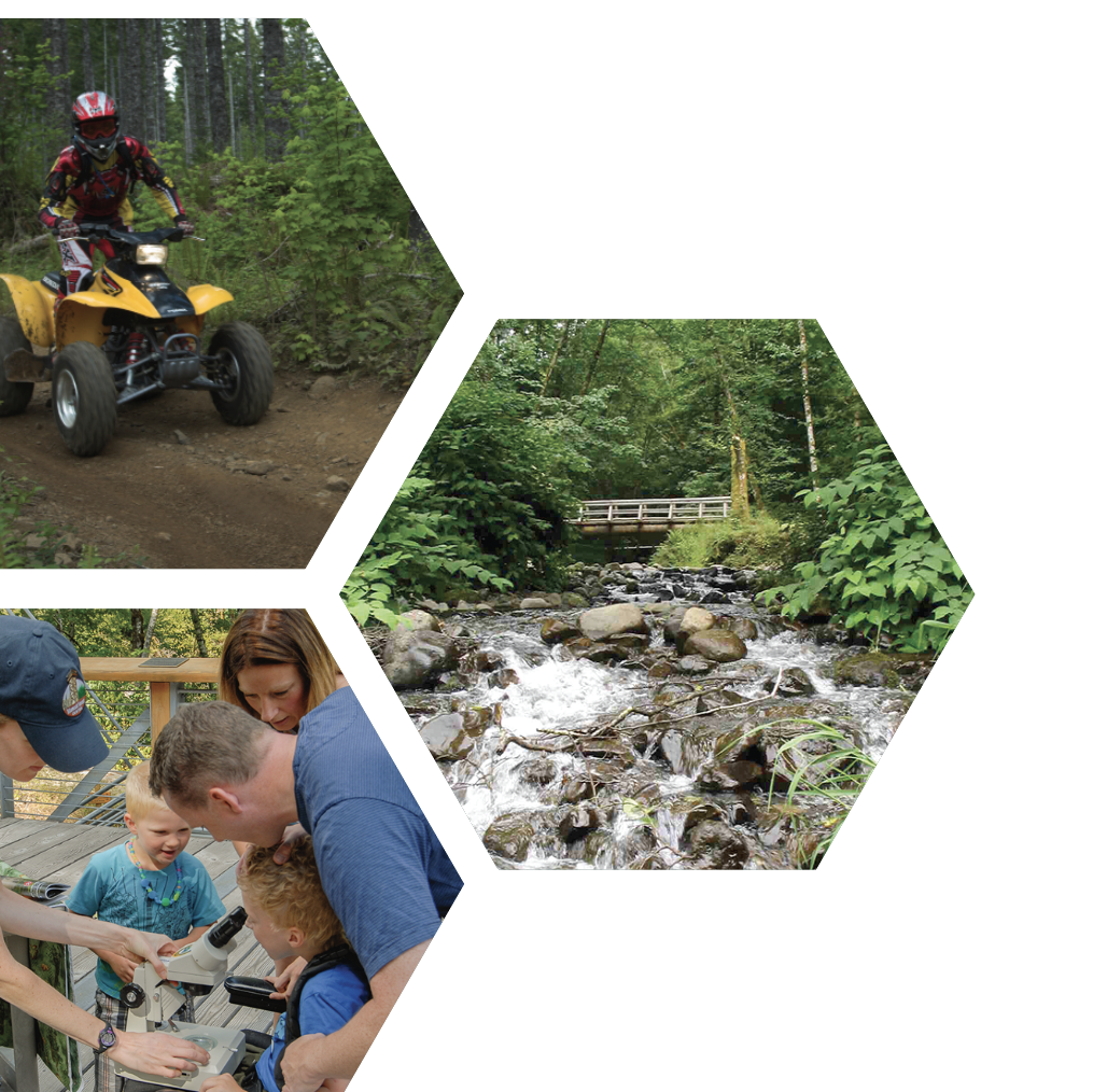 Screen Shot 2020-11-20 at 1.44.20 PM.png