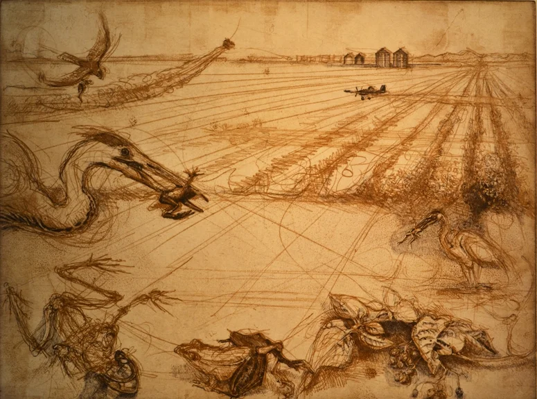 PLAGUE OF FROGS