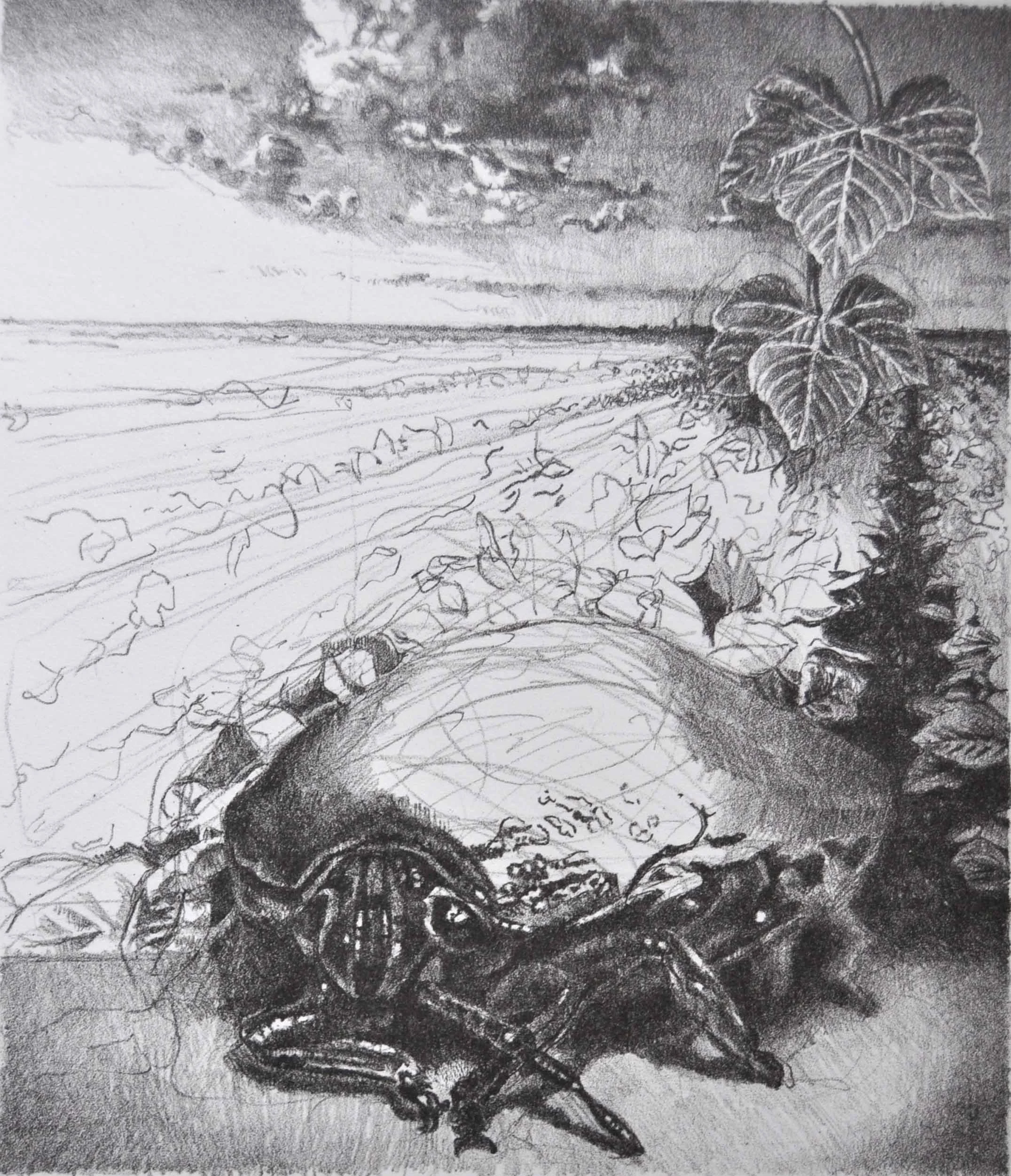 KUDZU