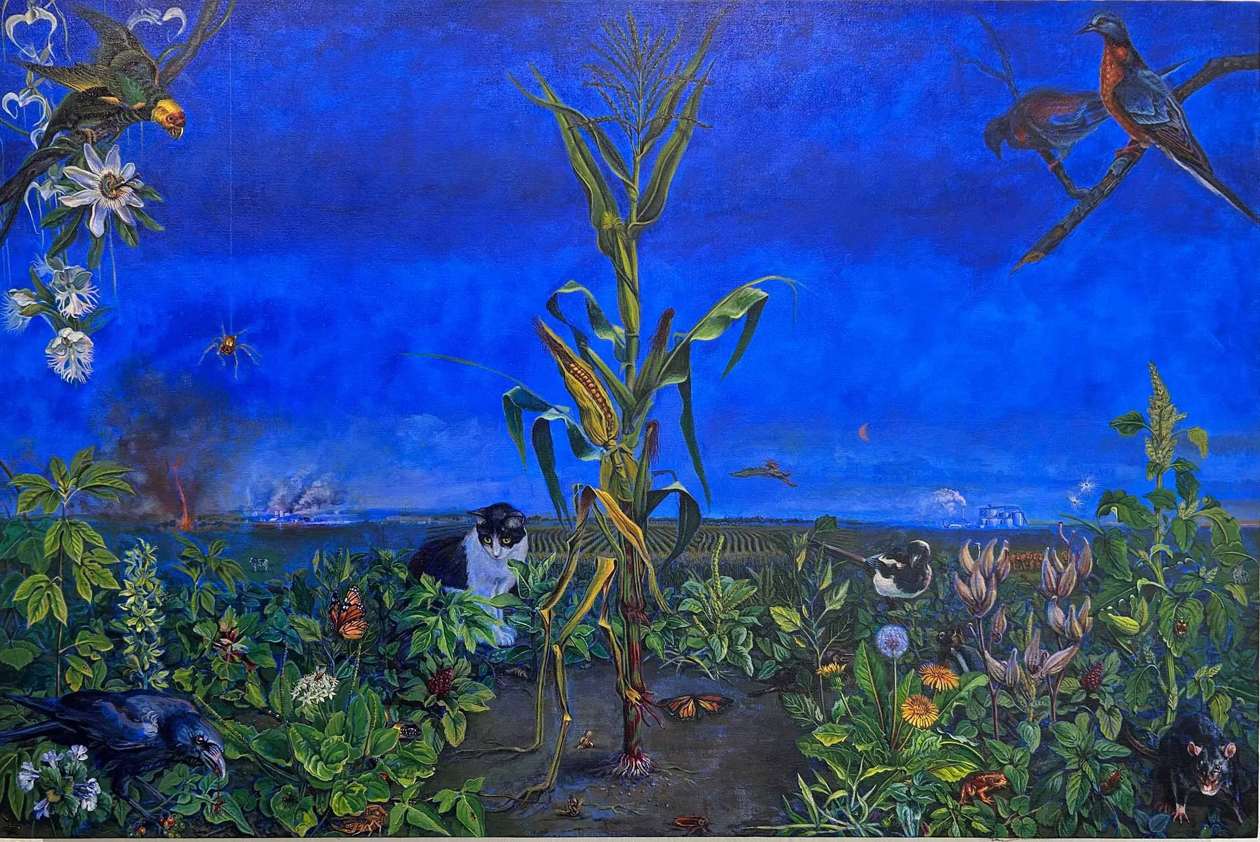 OASIS