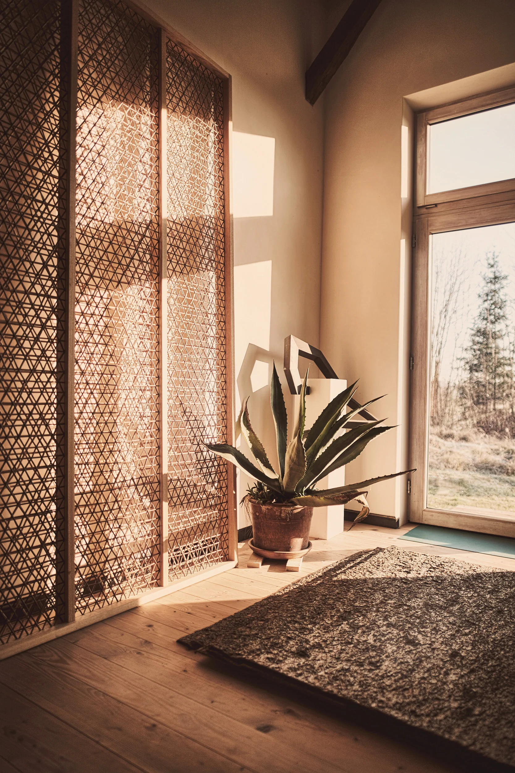 organic design