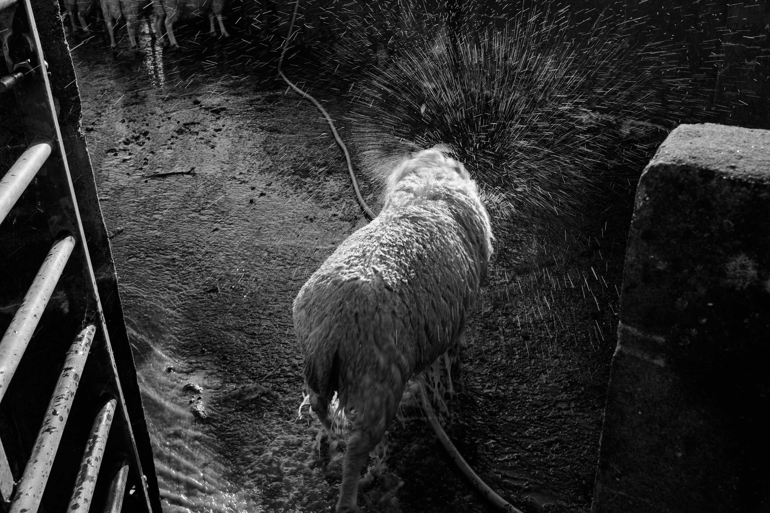 Outer Hebrides Fotograf Andreas Jacob