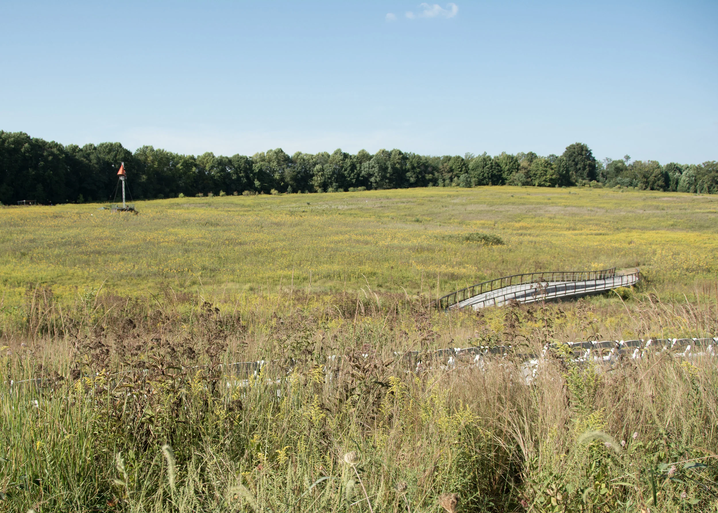 185886_Lost in the Meadow_Coletti_ Heather _Longwood Volunteer Photographer_.jpg