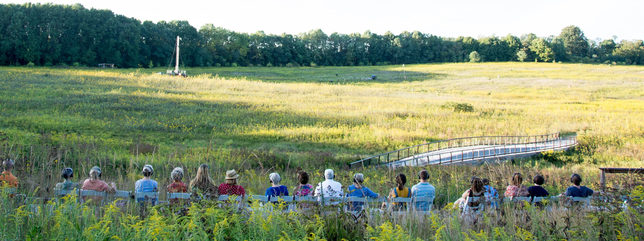 185916_Lost in the Meadow_Coletti_ Heather _Longwood Volunteer Photographer_.jpg