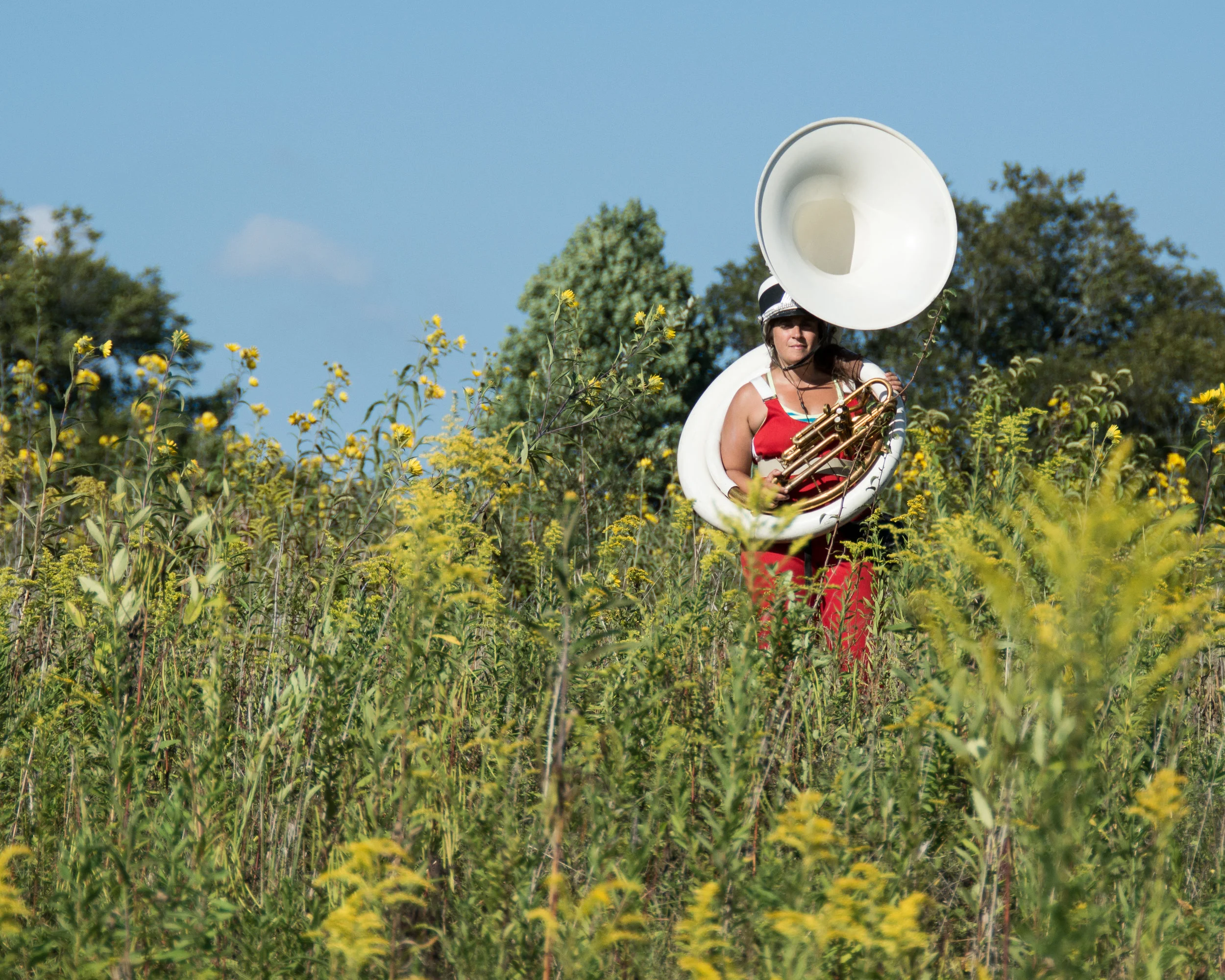 185894_Lost in the Meadow_Coletti_ Heather _Longwood Volunteer Photographer_ copy.jpg