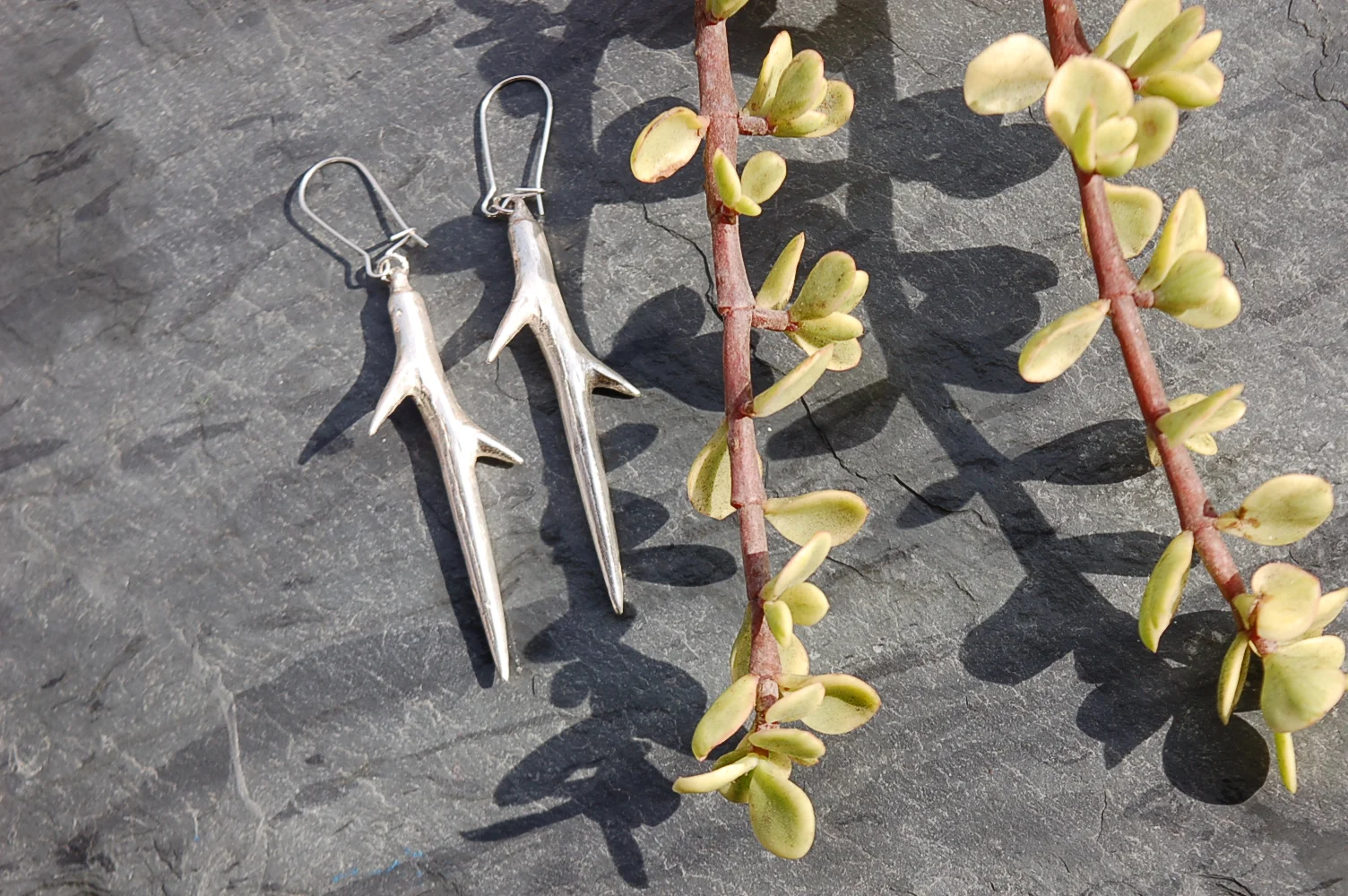 Silver Thorn Earrings 