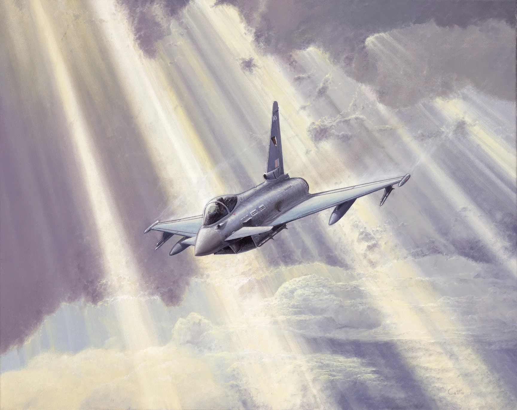 aviation art, typhoon
