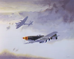 aviation art, mustang