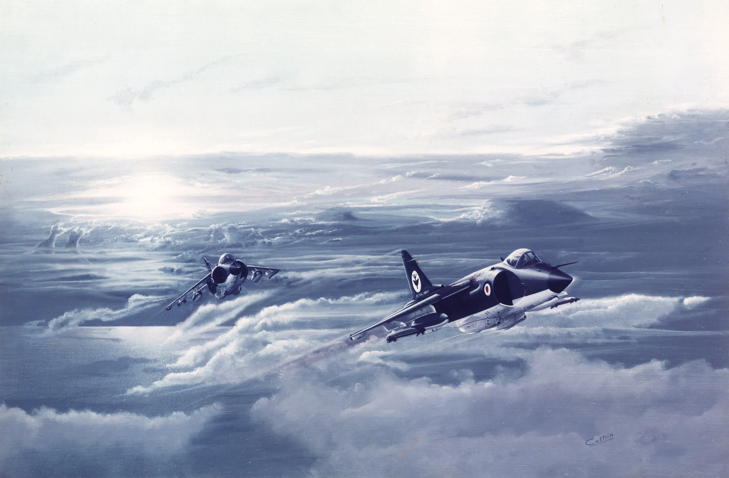 aviation art, sea harrier