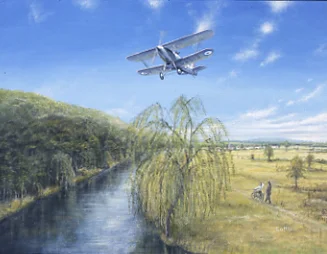 aviation art, hawker fury
