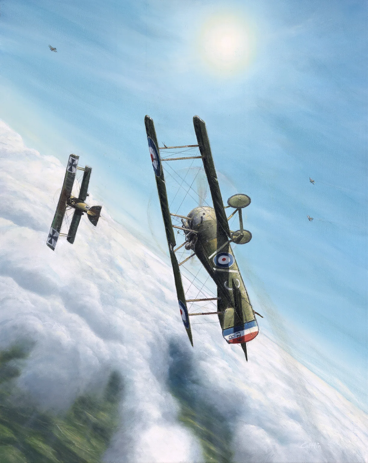 aviation art, camel