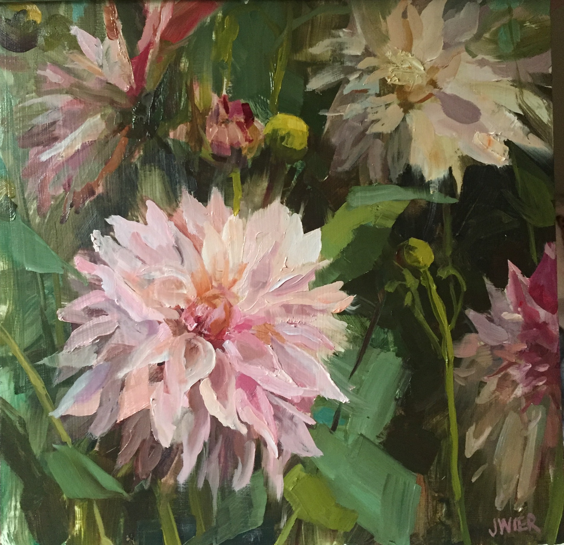 Cafe au Lait Dahlia I