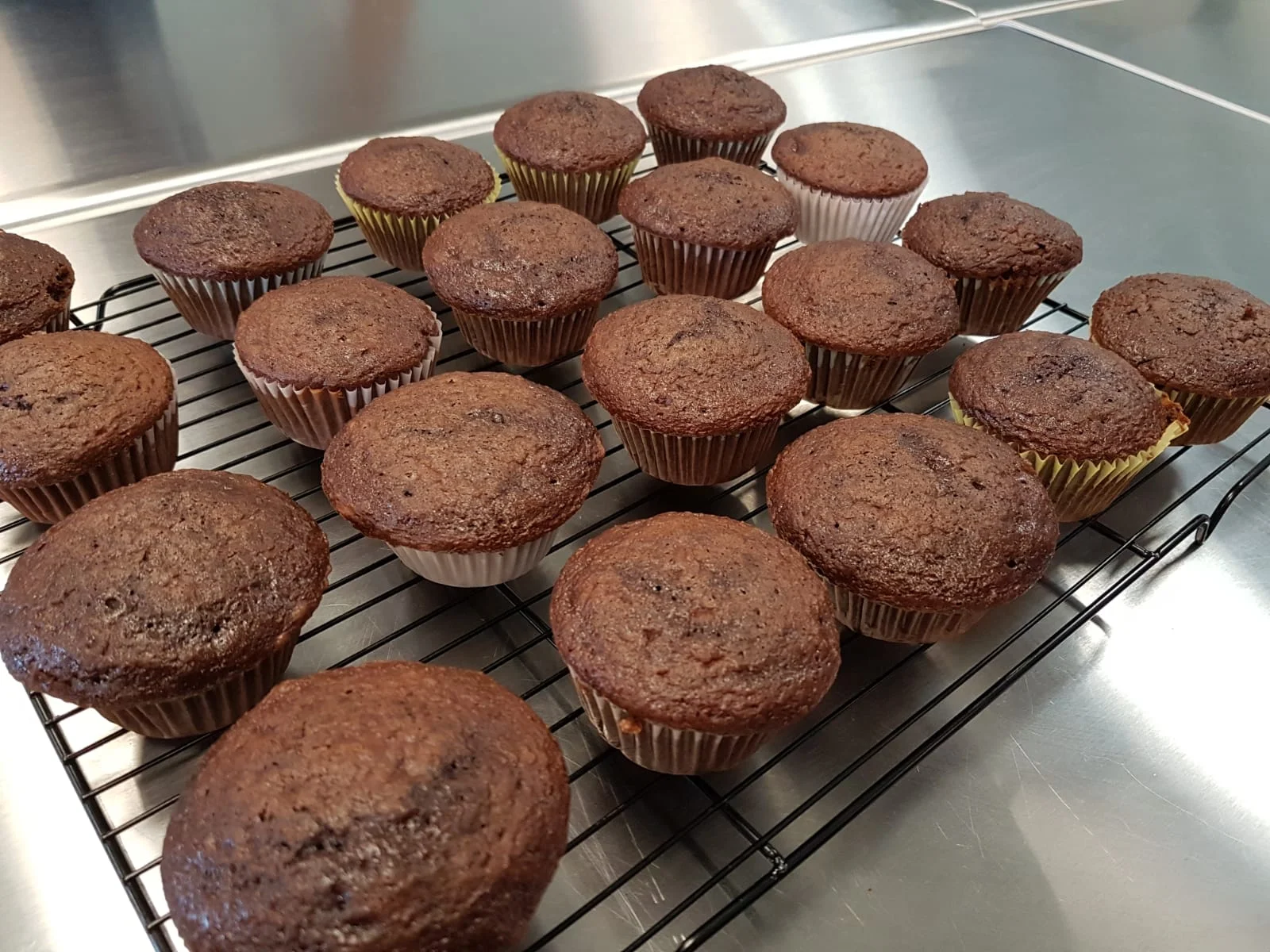cupcakes without icing.jpeg
