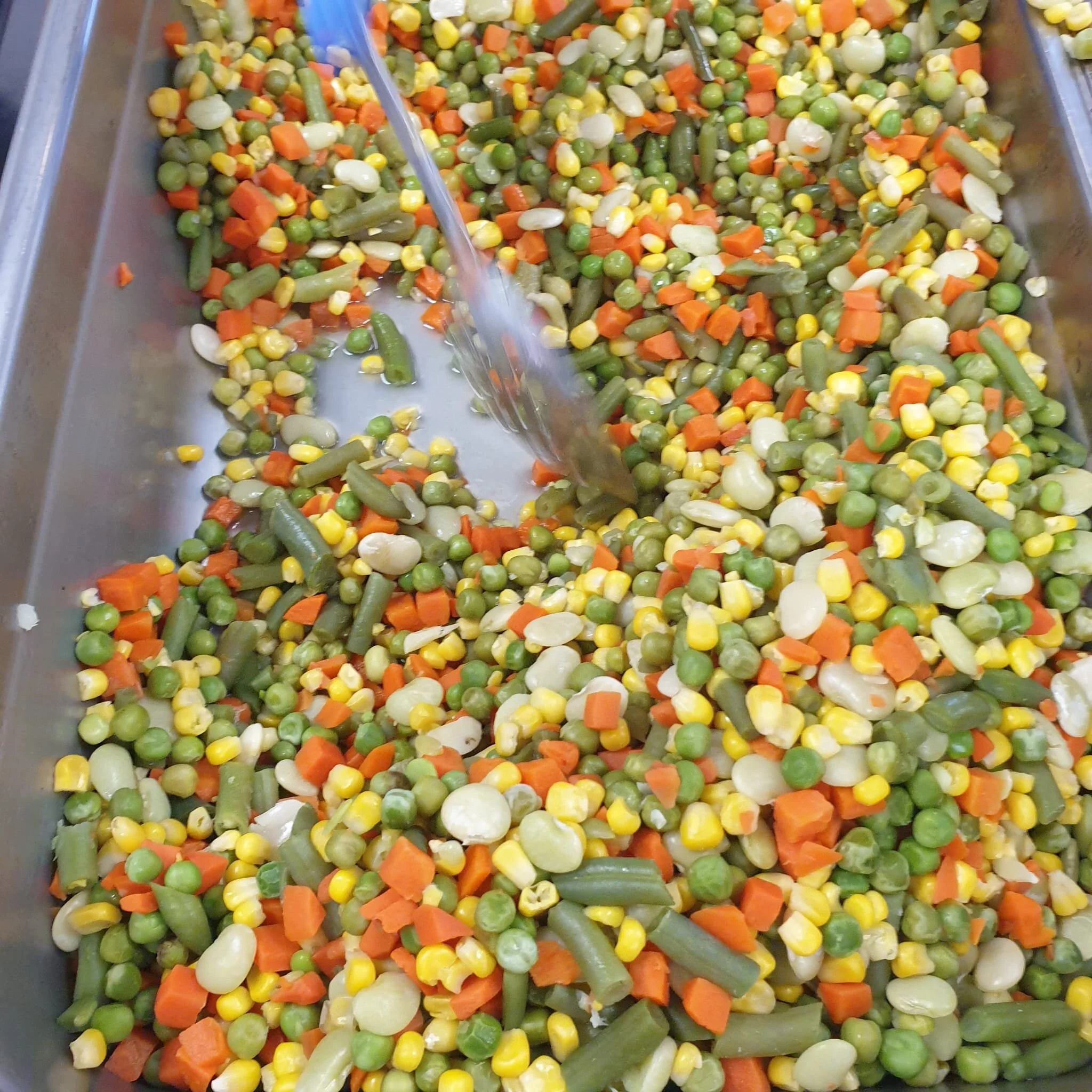 veggies in chafing dish.jpeg