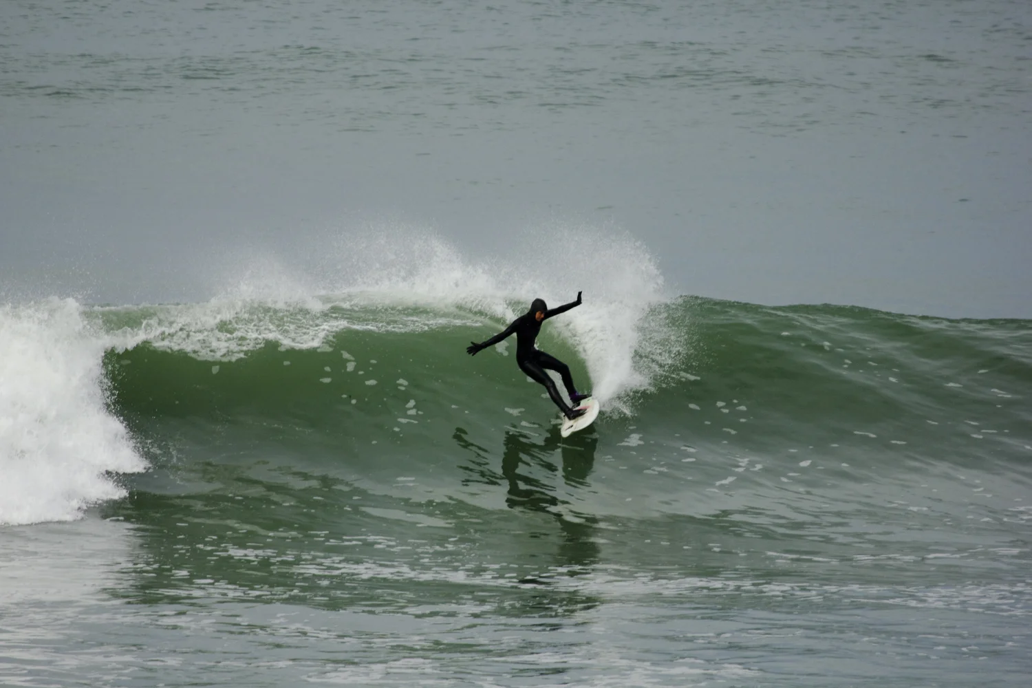 IMG_9849.jpg