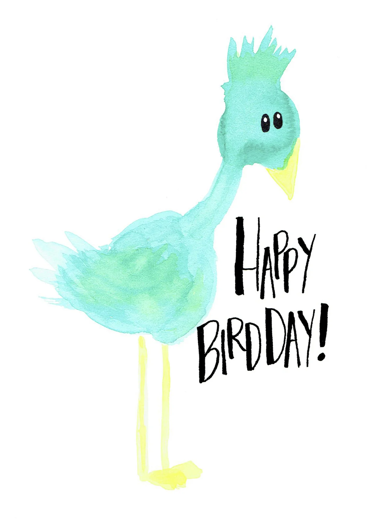 Card | Happy Bird Day!