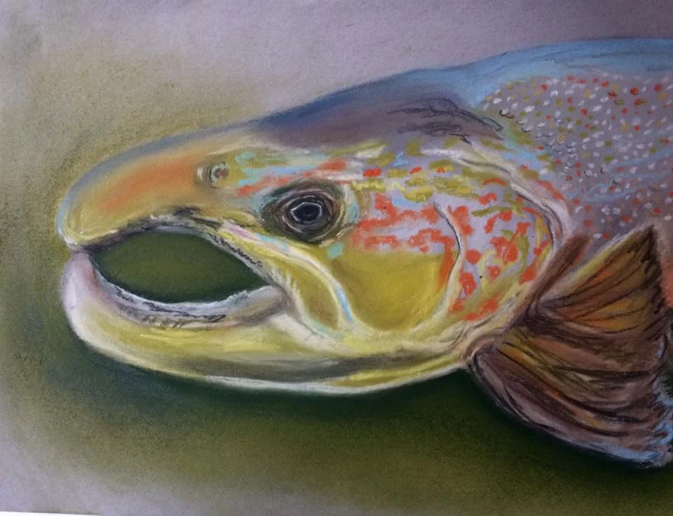 Atlantic Salmon
