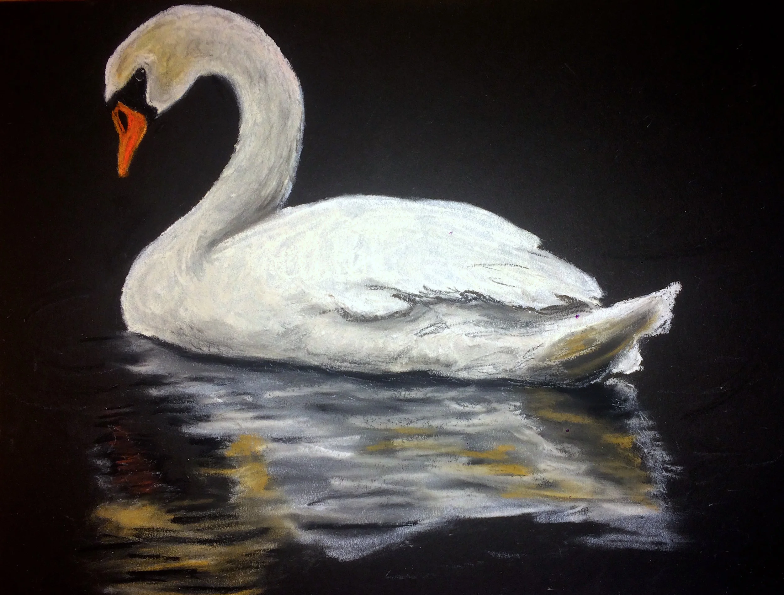 Swan a-Swimming
