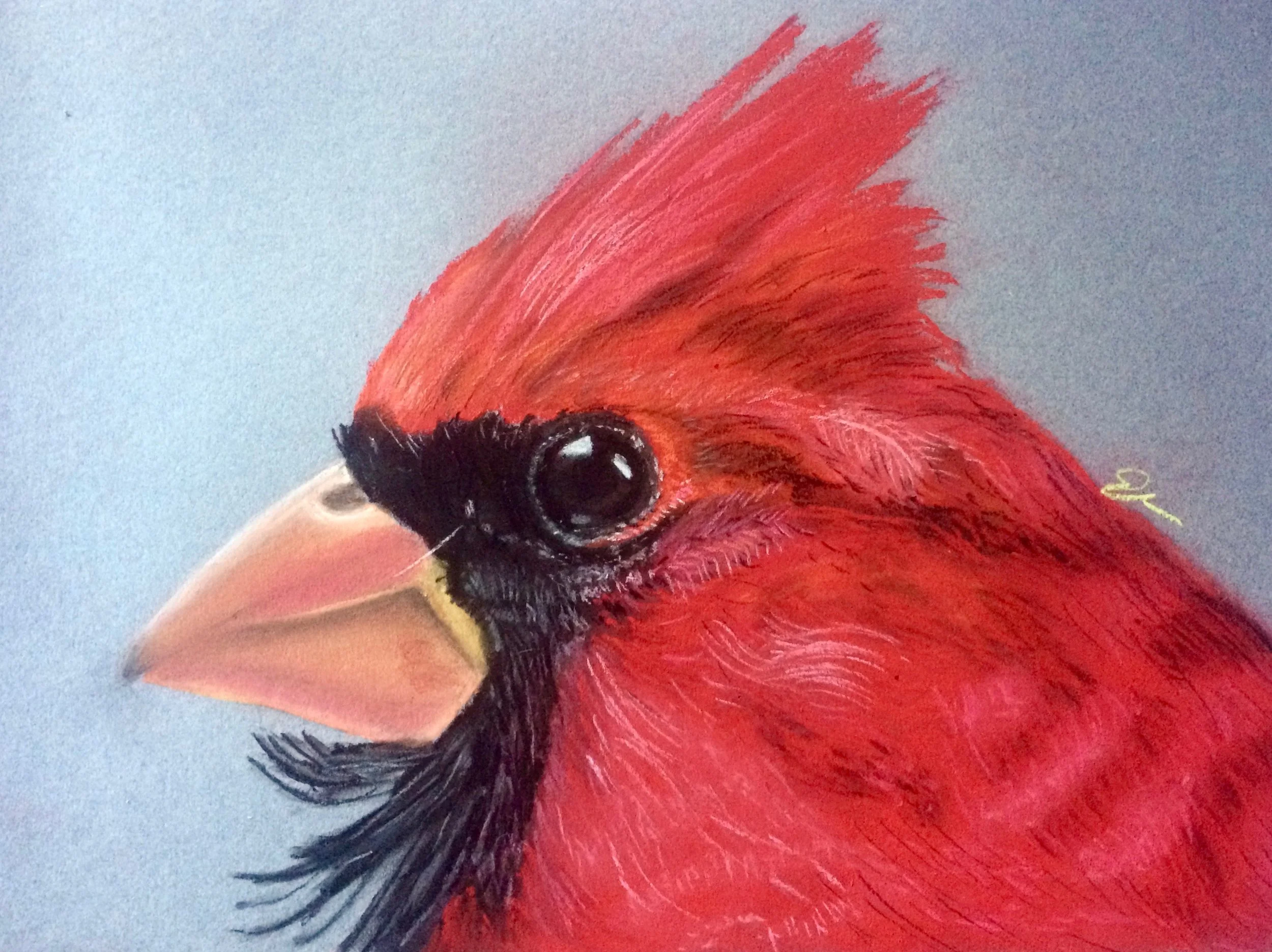 Cardinal