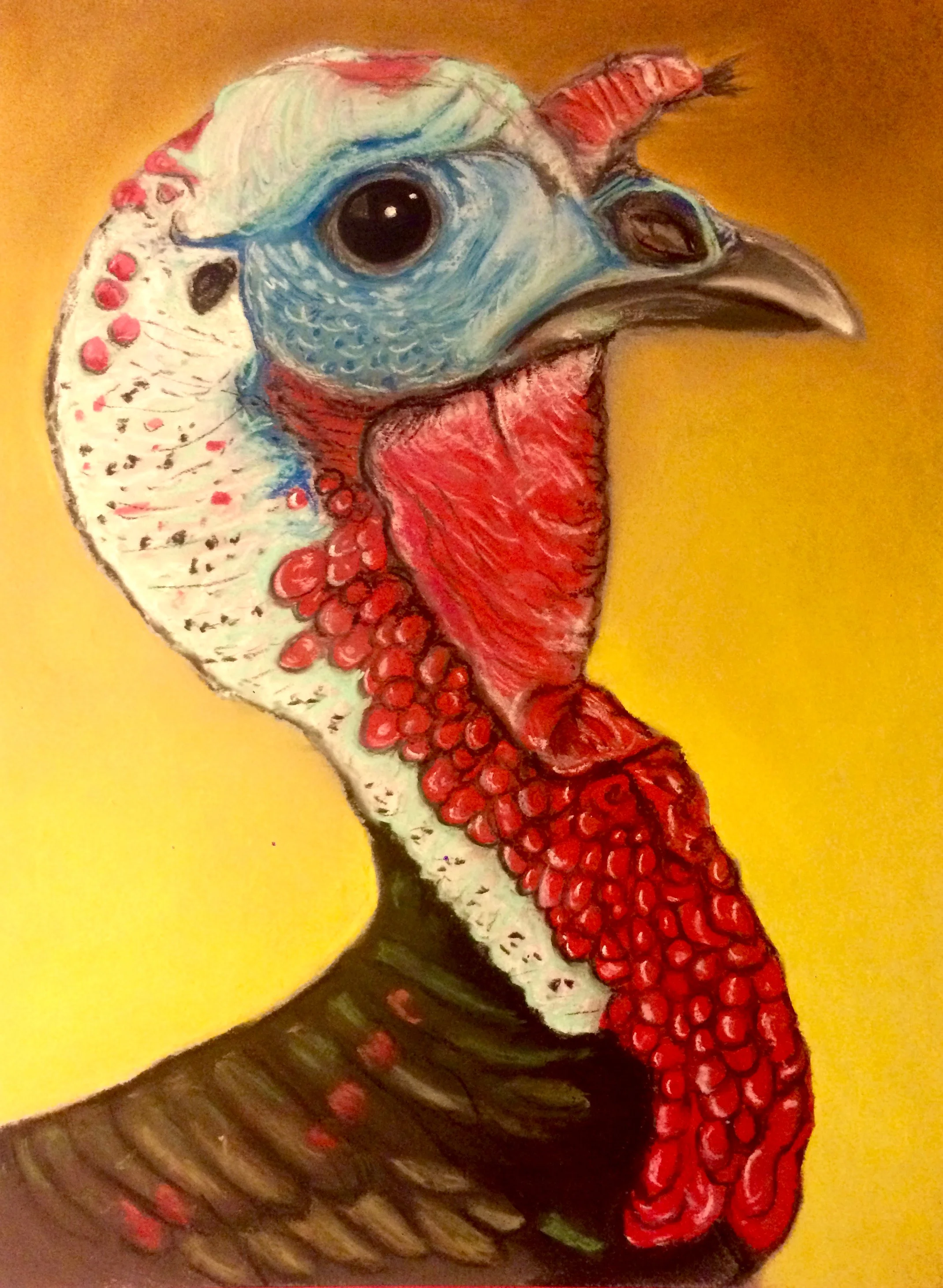 Tom Turkey, AKA Thanksgiving