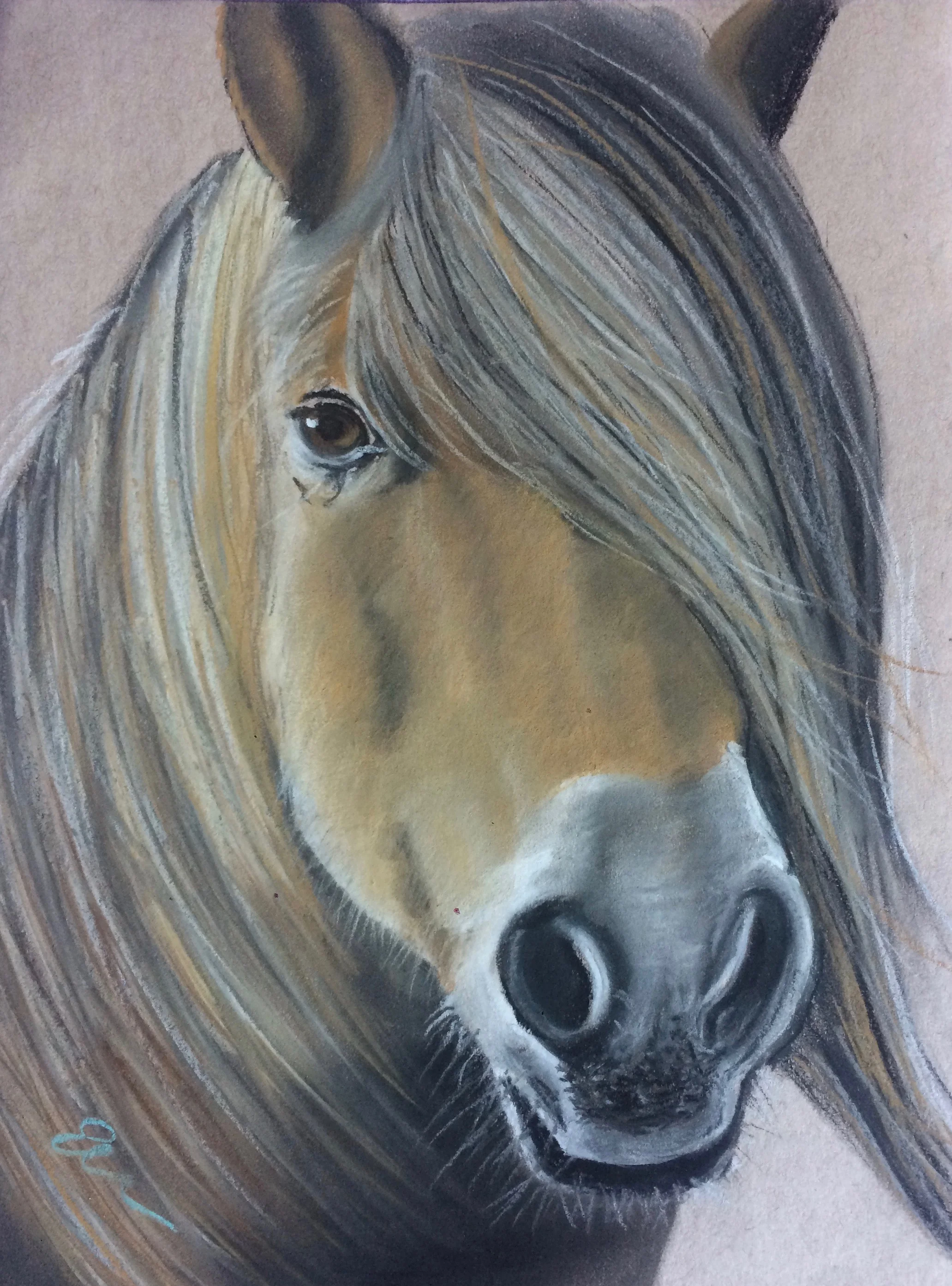Norwegian Fjord Horse