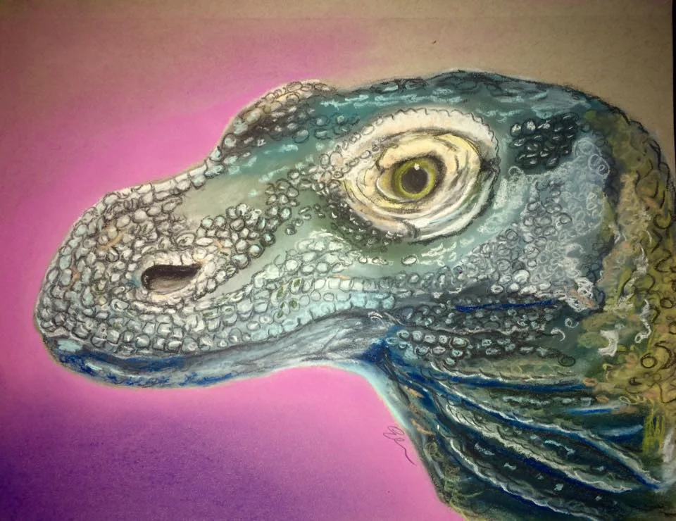 Komodo Dragon