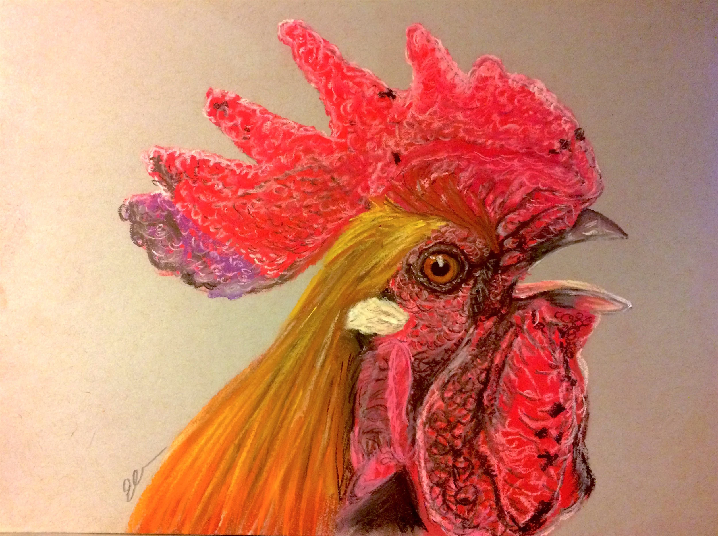 Year of the Rooster