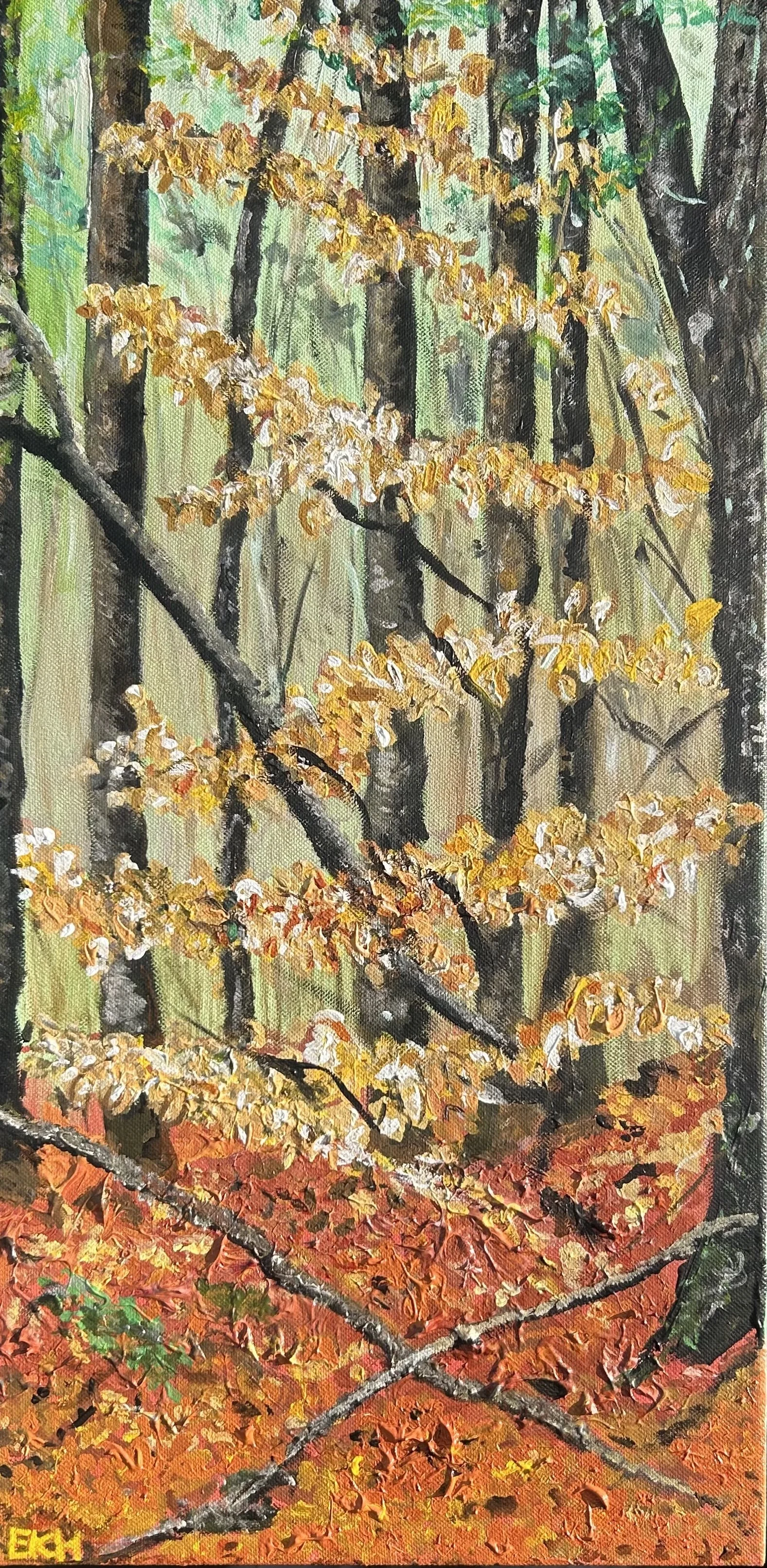 Leila's Wood