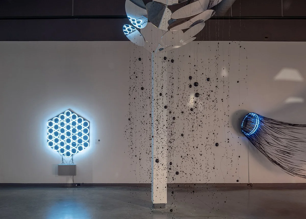 Through A Glass, Darkly - Network — The Delaware Contemporary