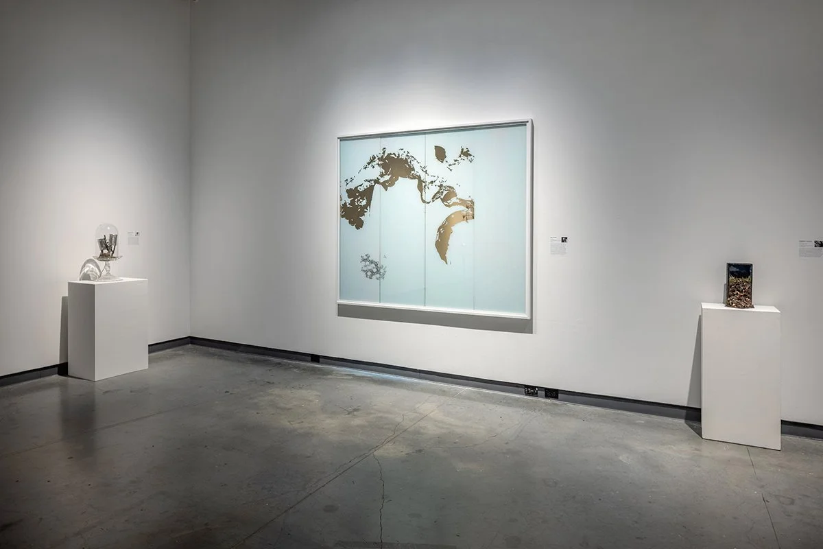 Through A Glass, Darkly - Environment — The Delaware Contemporary