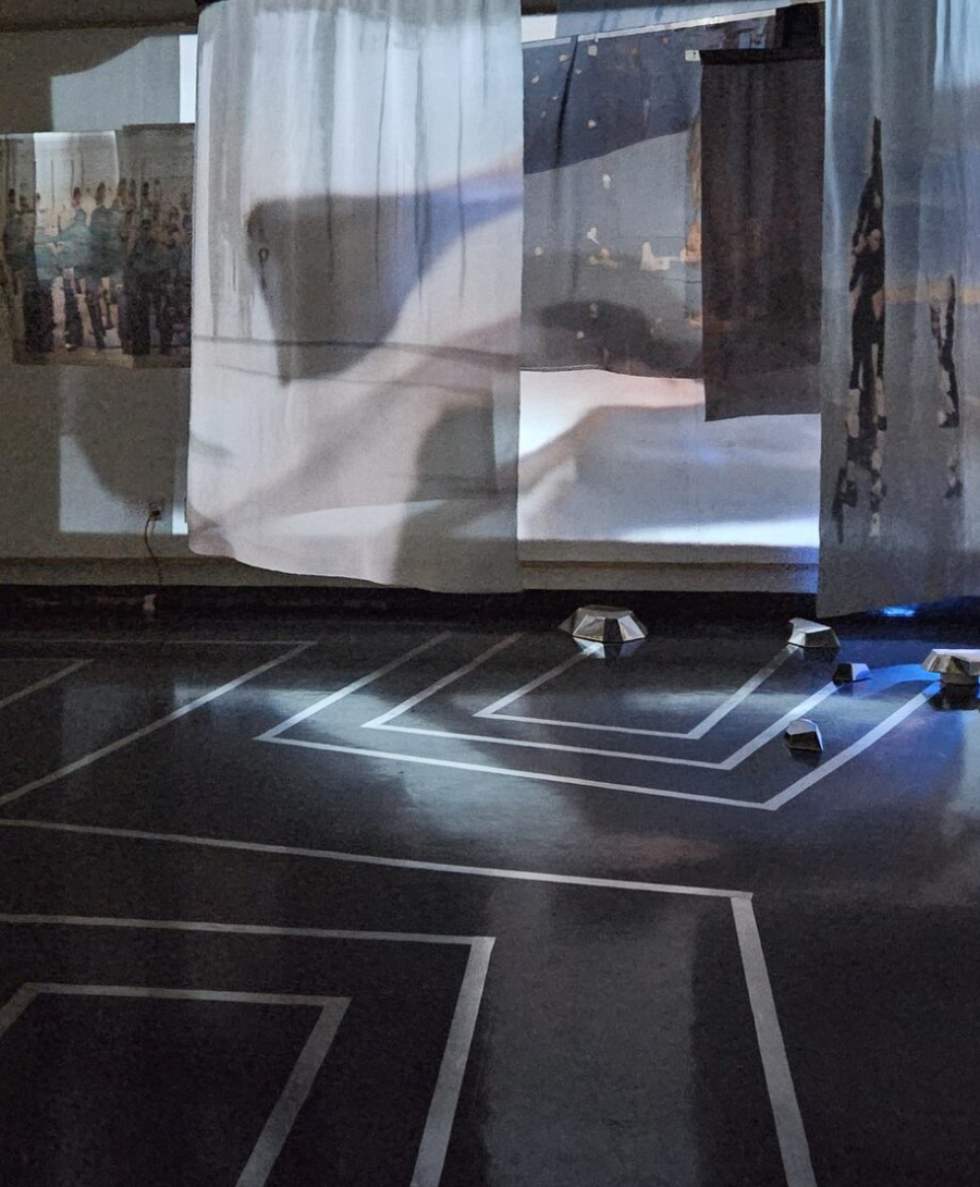 Reclaim | Reframe: Datasets and Cultural Visibility