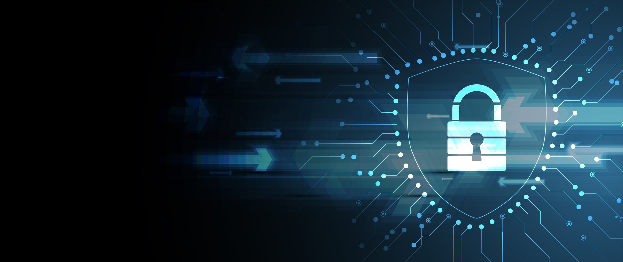 Cybersecurity graphic_Sam.jpeg