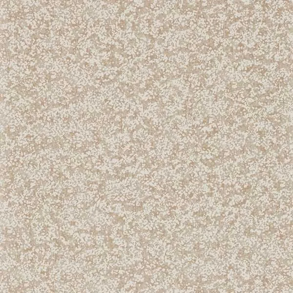 Coral Wallpaper