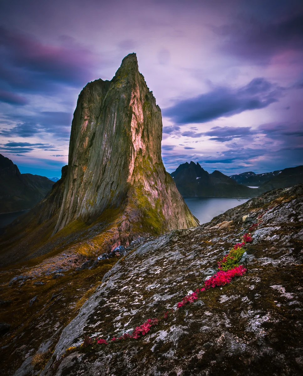 151A9804-Edit-Edit.jpg