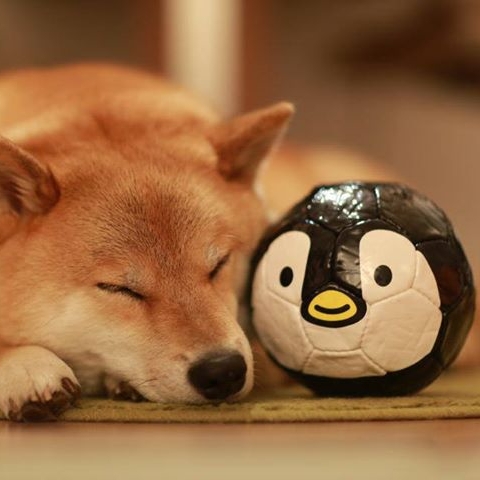 pals_by_marutar0-d6ox1wh.jpg