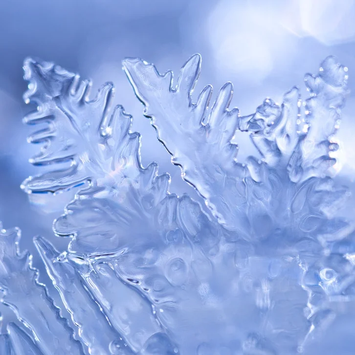 ice_ice_baby_by_pqphotography-d4p3a2i.jpg