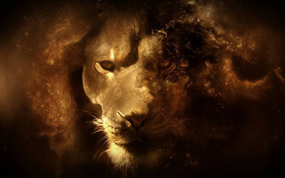 lion.jpg