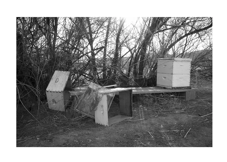 05_BeeHouses.jpg