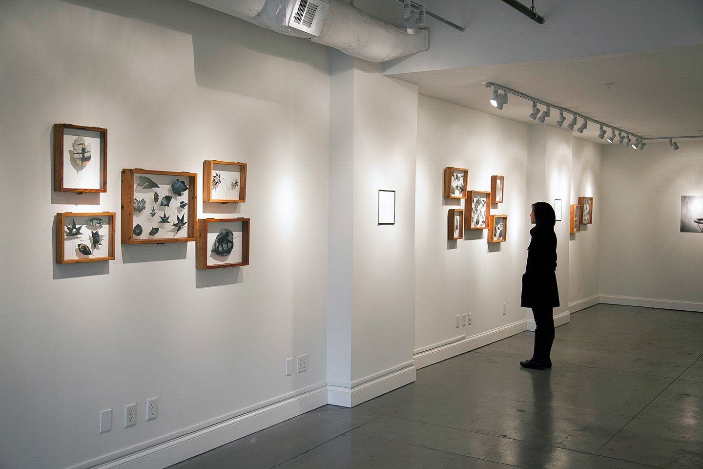 The Nature of Containment, Installation View 