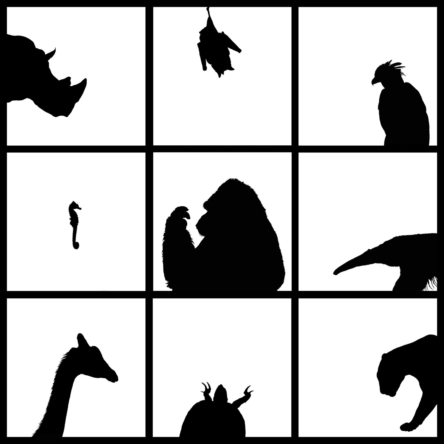   Nine Silhouettes  Photographed at zoos and aquariums throughout the United States and converted to silhouettes. 